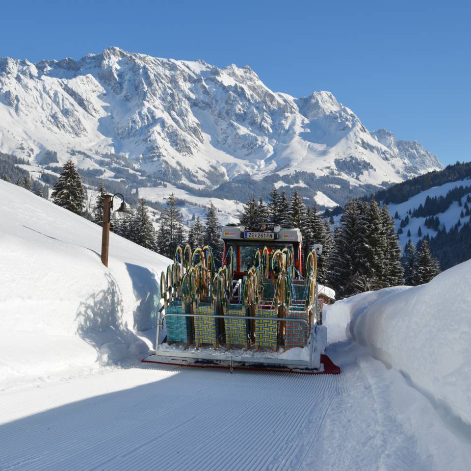 Grünegg Winter Rodelbahn Transport
