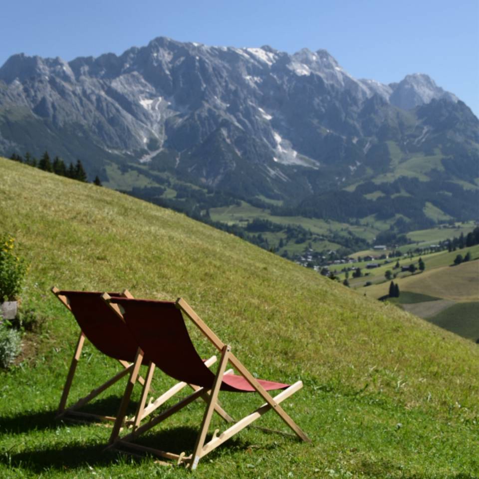 Grünegg Alm Sonnenliegen Wiese