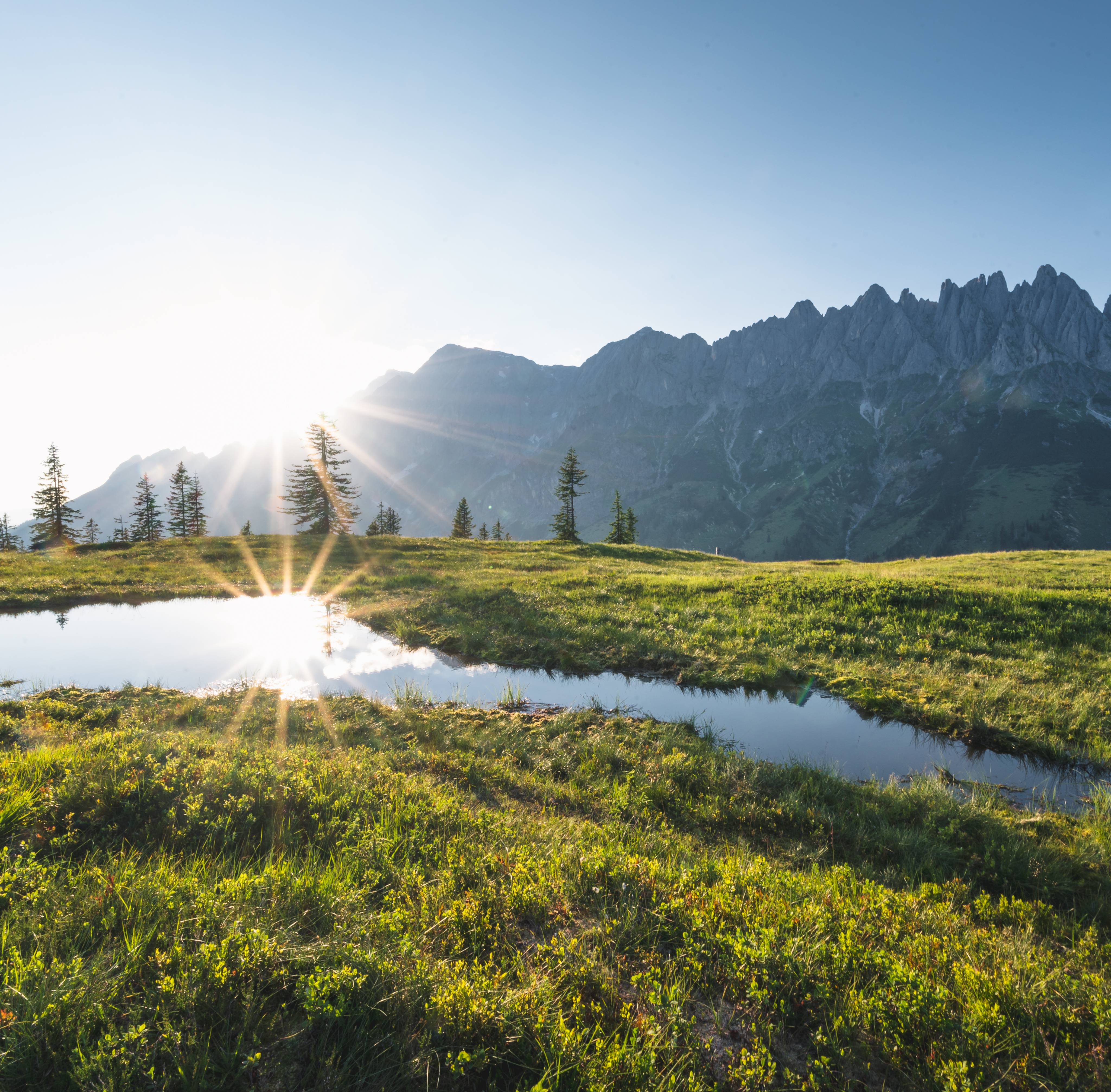 - KLAR. BELEBEND. VIELFÄLTIG. -: EINTAUCHEN in die Quelle des Lebens - Grünegg Alm und Hochkönig Edelbrennerei