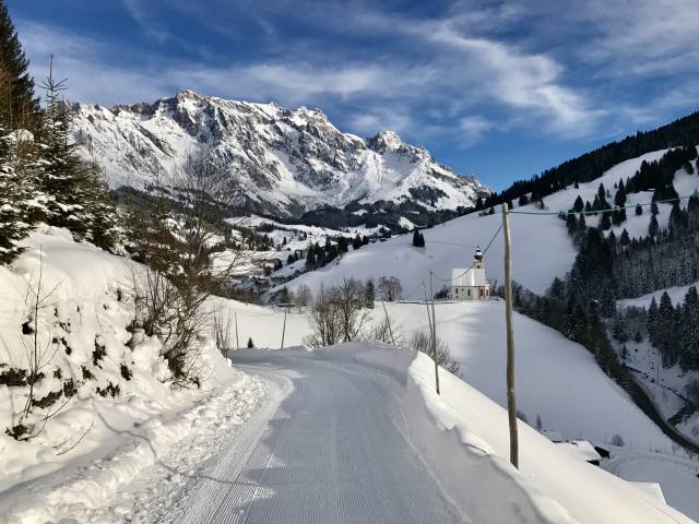 Grünegg Alm Rodelbahn