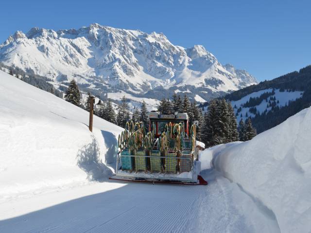 Grünegg Winter Rodelbahn Transport