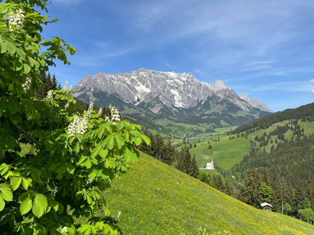 Hochkönig Blick von der Grünegg Alm