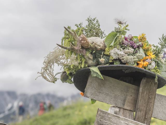 Kräuterwandern am Hochkönig