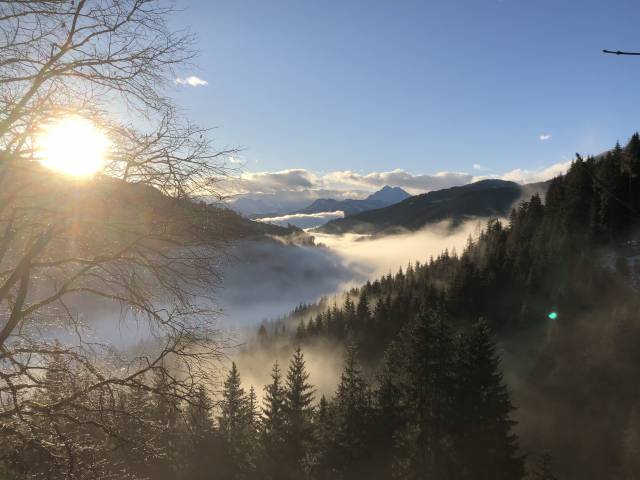 Herbst am Grünegg