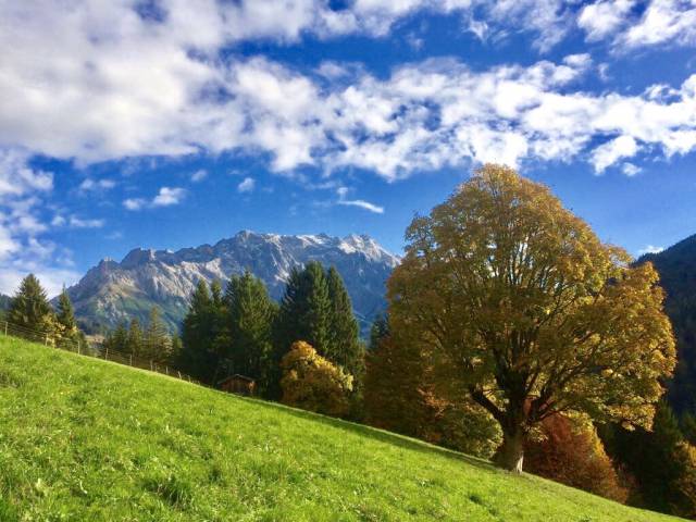 Herbst am Grünegg