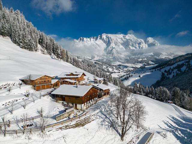 Winter - Grünegg Alm und Hochkönig Edelbrennerei