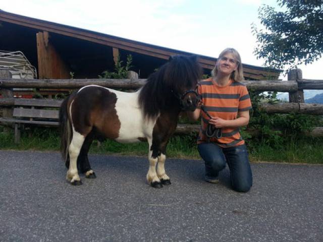 Minipony Gera mit Birgit
