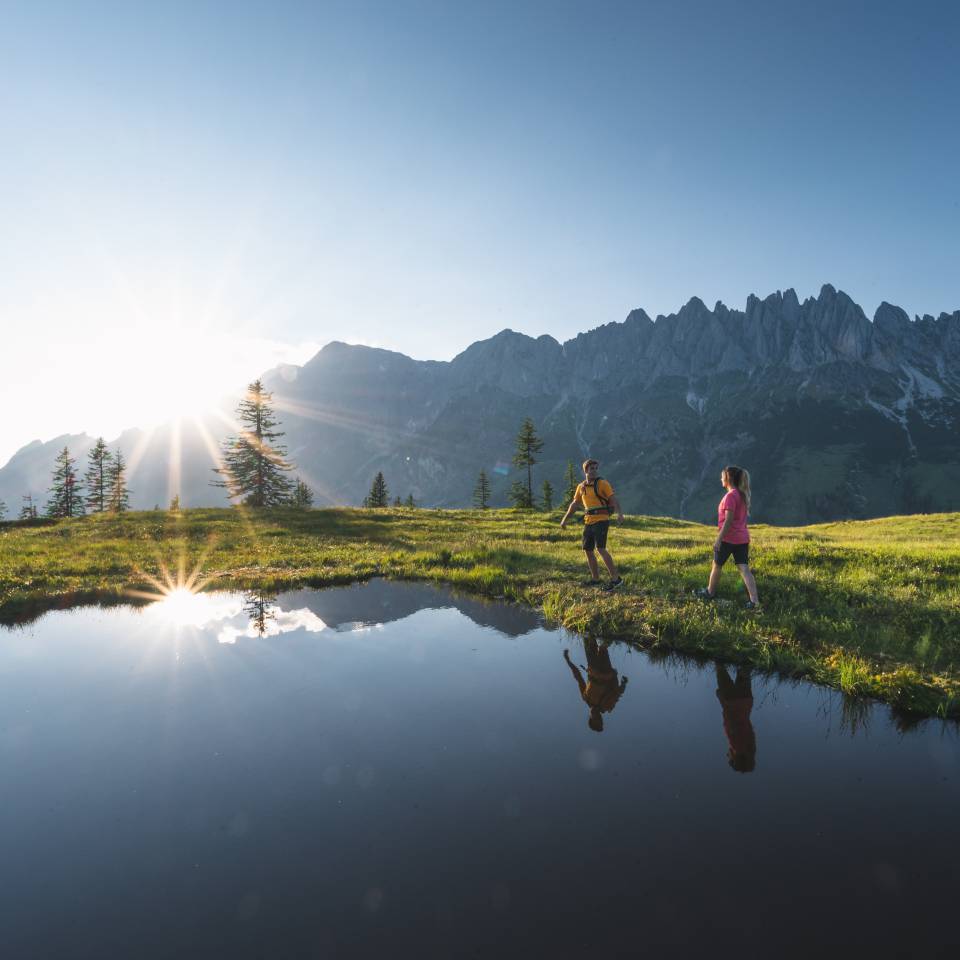 Eröffnungs -
Pauschale: Traumtage auf der Alm - Grünegg Alm und Hochkönig Edelbrennerei