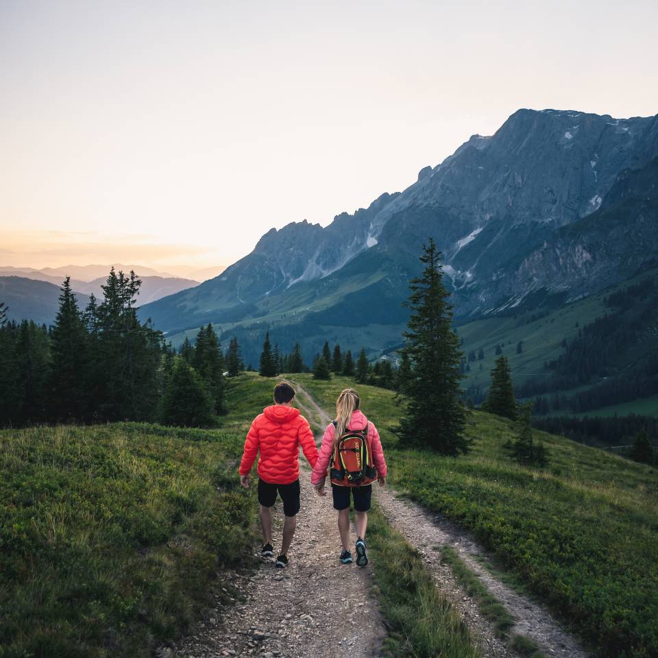 Wandern im Naturparadies: für jeden Geschmack - Grünegg Alm und Hochkönig Edelbrennerei