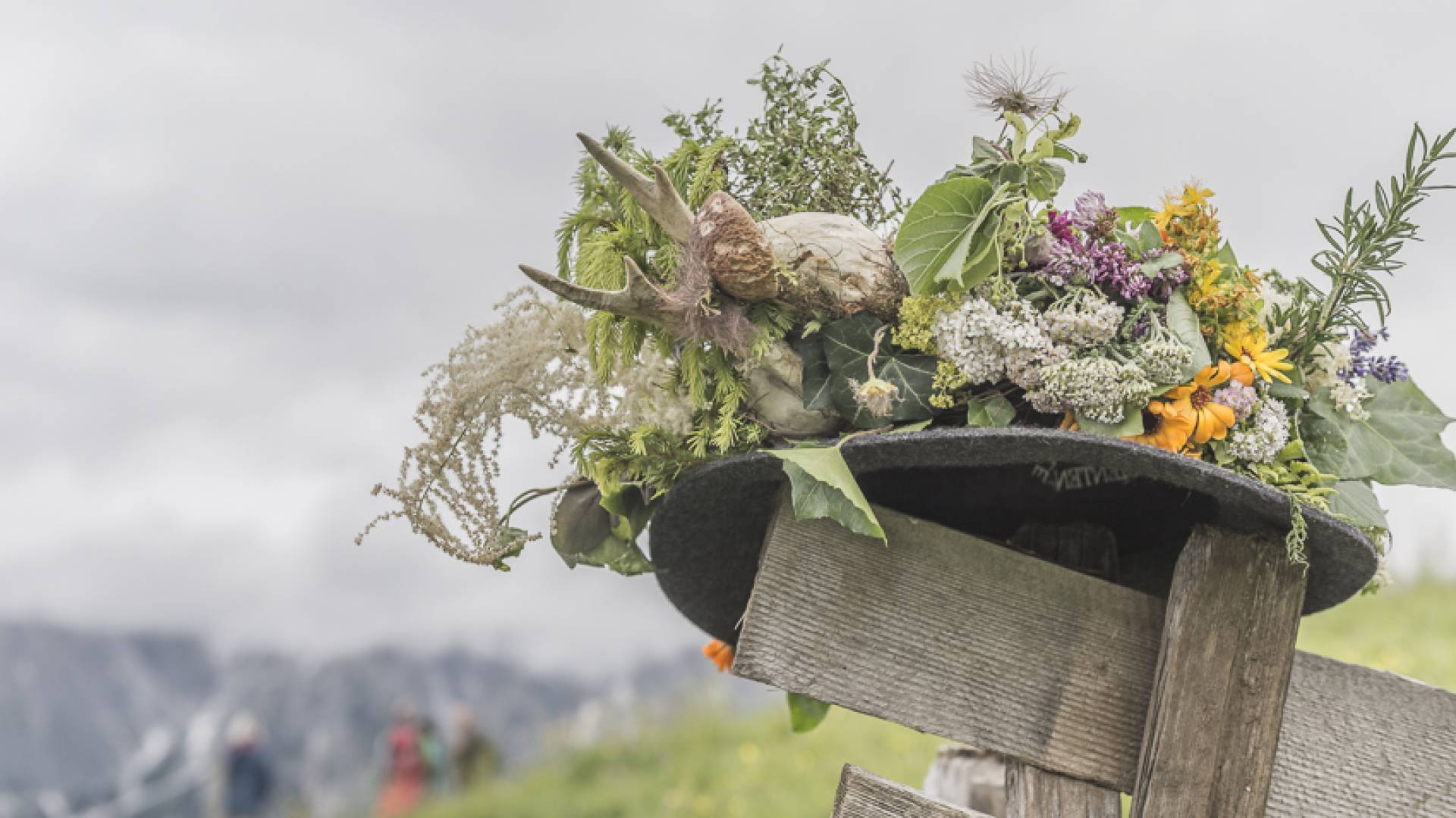 Kräuterwandern am Hochkönig