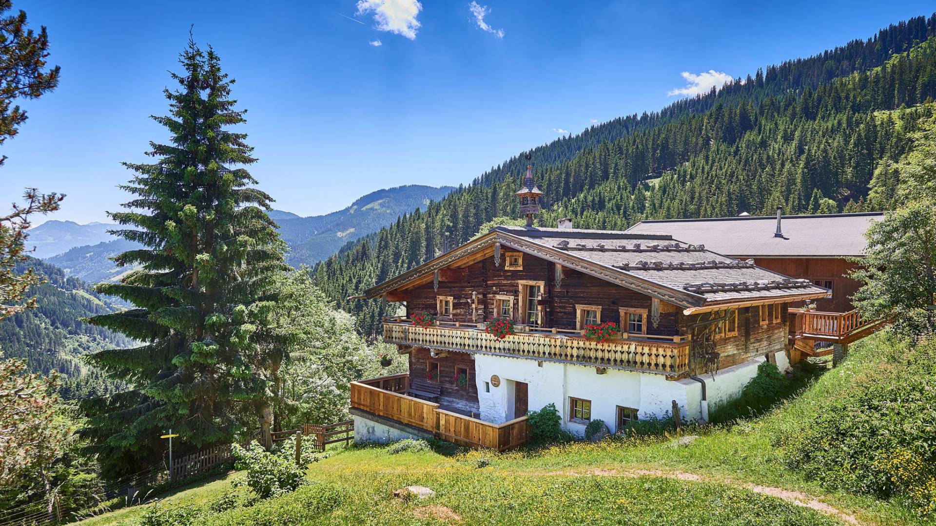 Grünegg Alm & Hochkönig Edelbrennerei