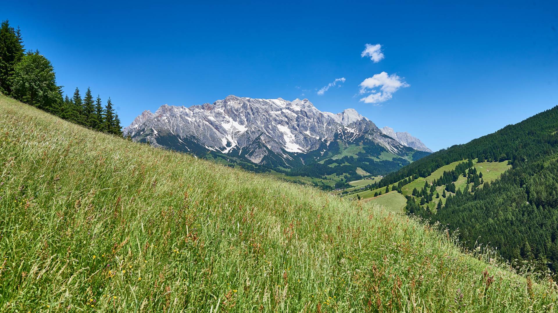 Ausblick von der Grünegg Alm