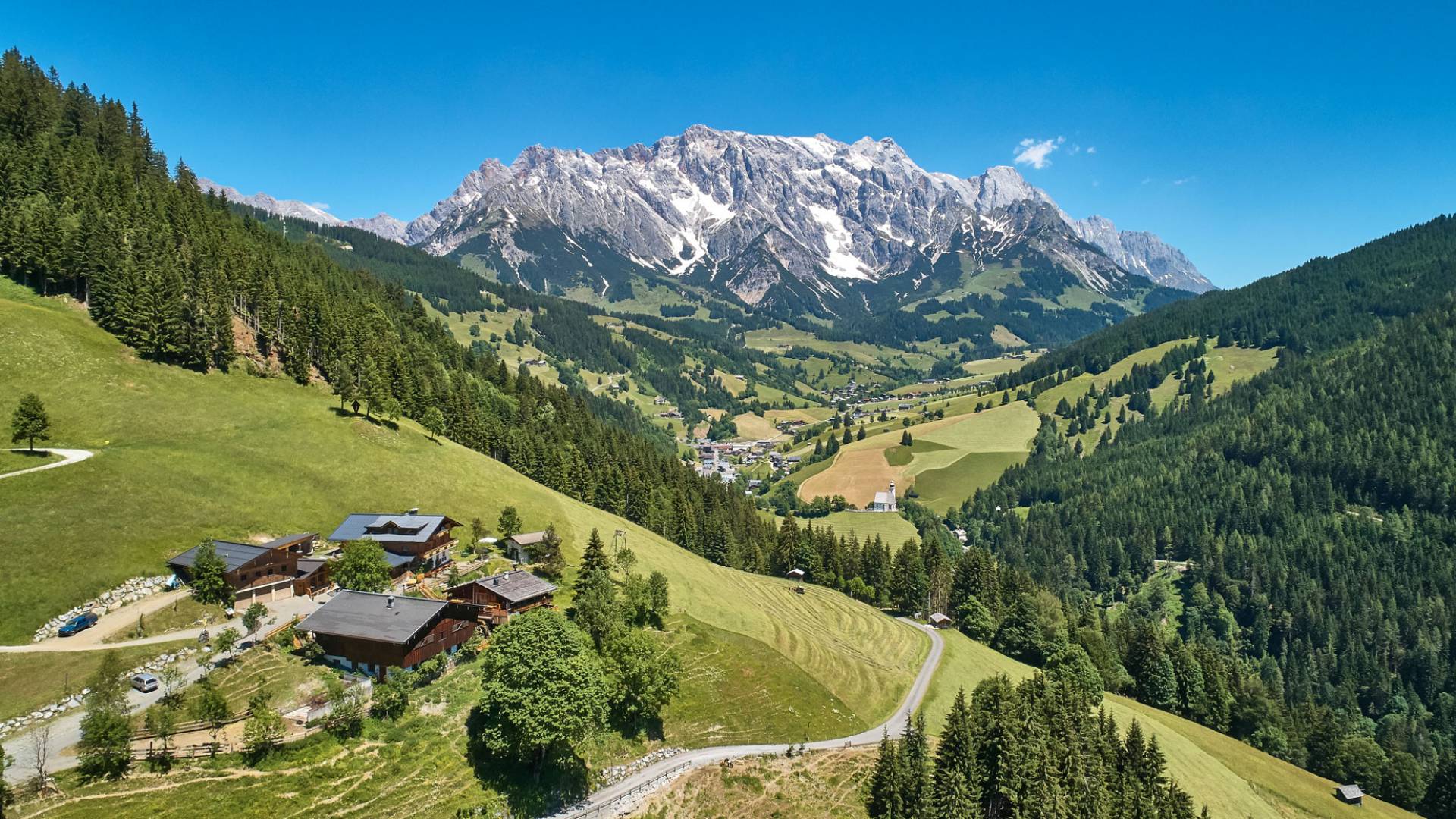 Grünegg Alm Sommer