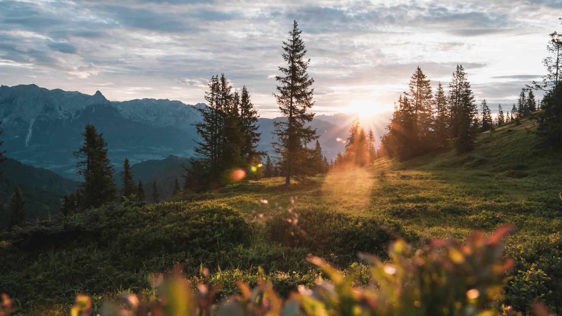 Hochkönig Sonnenuntergang Panorama